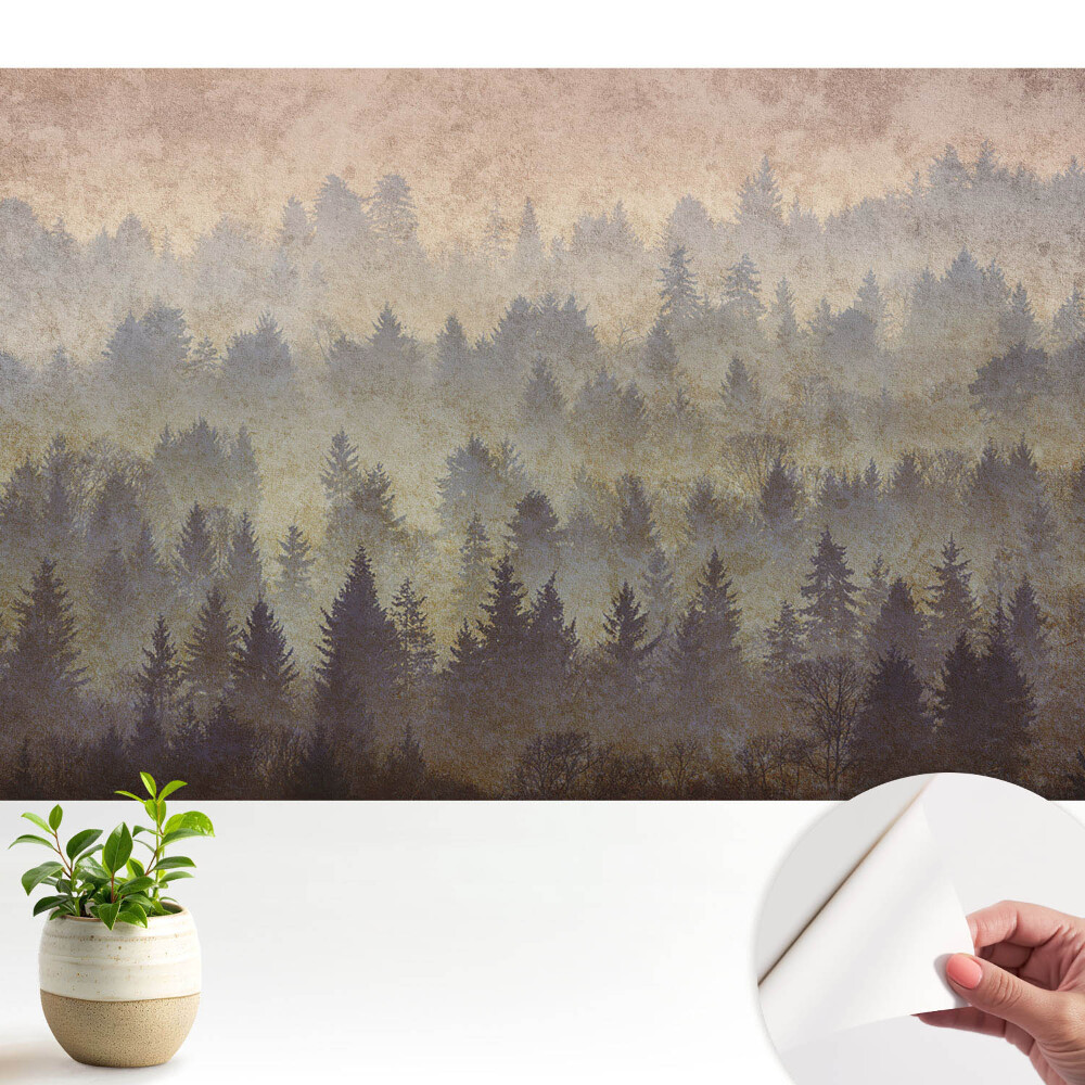 Păduri atmosferice învăluite în ceață