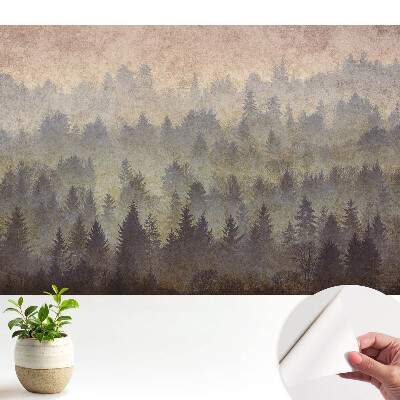 Păduri atmosferice învăluite în ceață