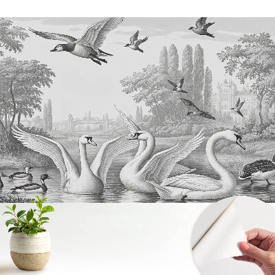 Peisaj romantic cu lebede