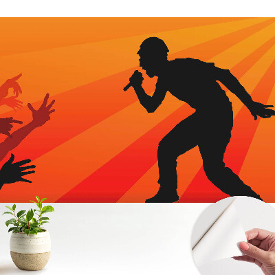 Energia muzicii și a publicului