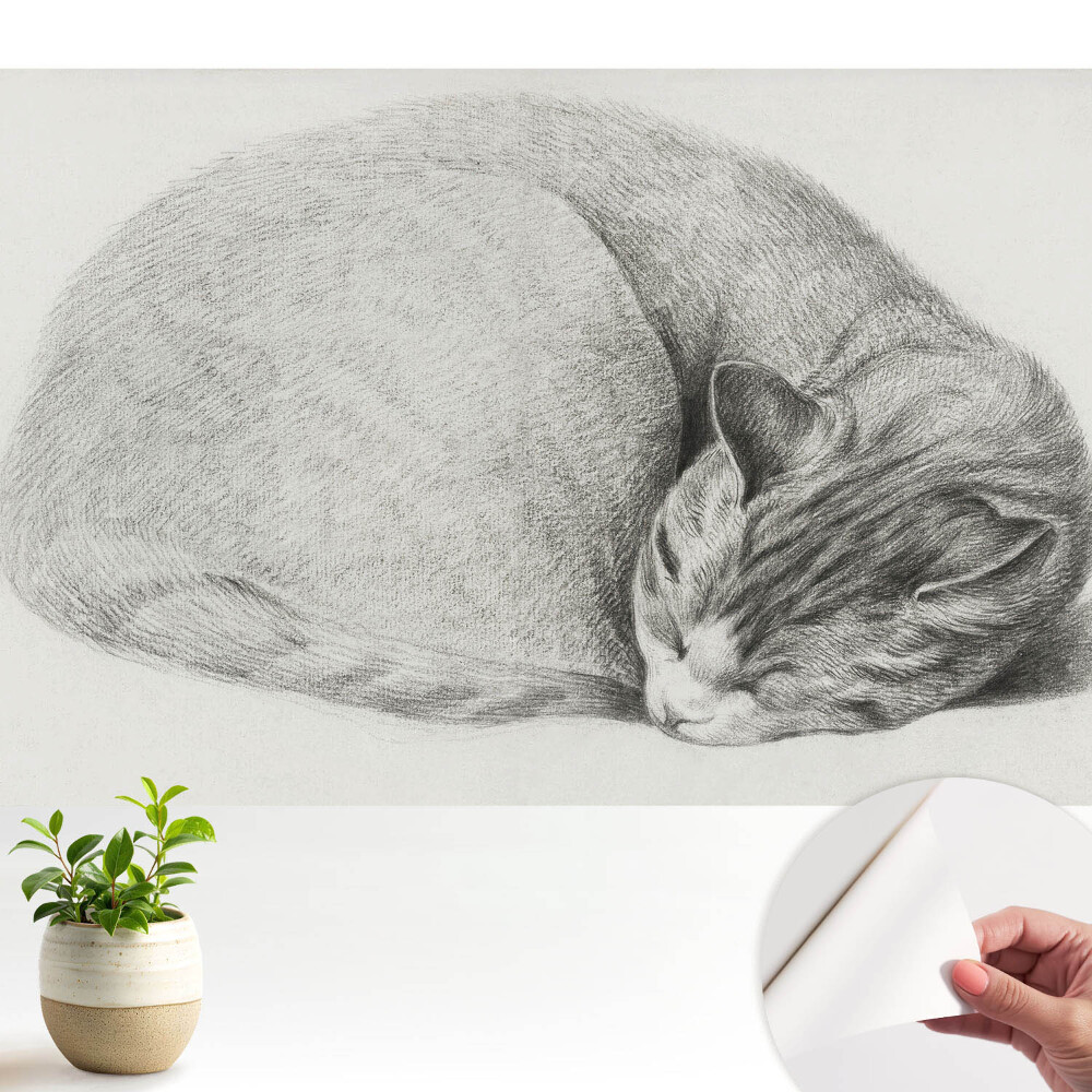 Desen realist al unei pisici adormite