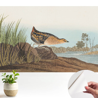 O pasăre deasupra apei într-un stil clasic