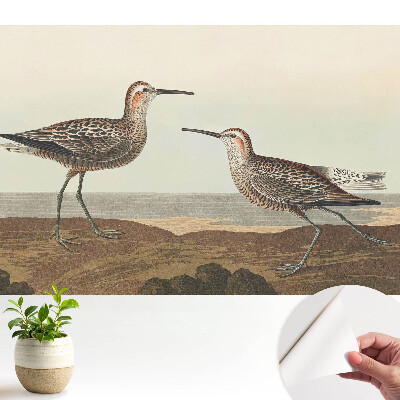 Două păsări pe malul mării