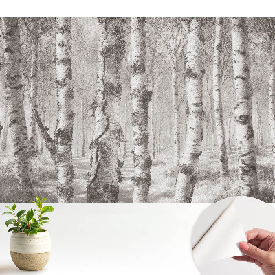 Mesteceni într-o pădure clasică