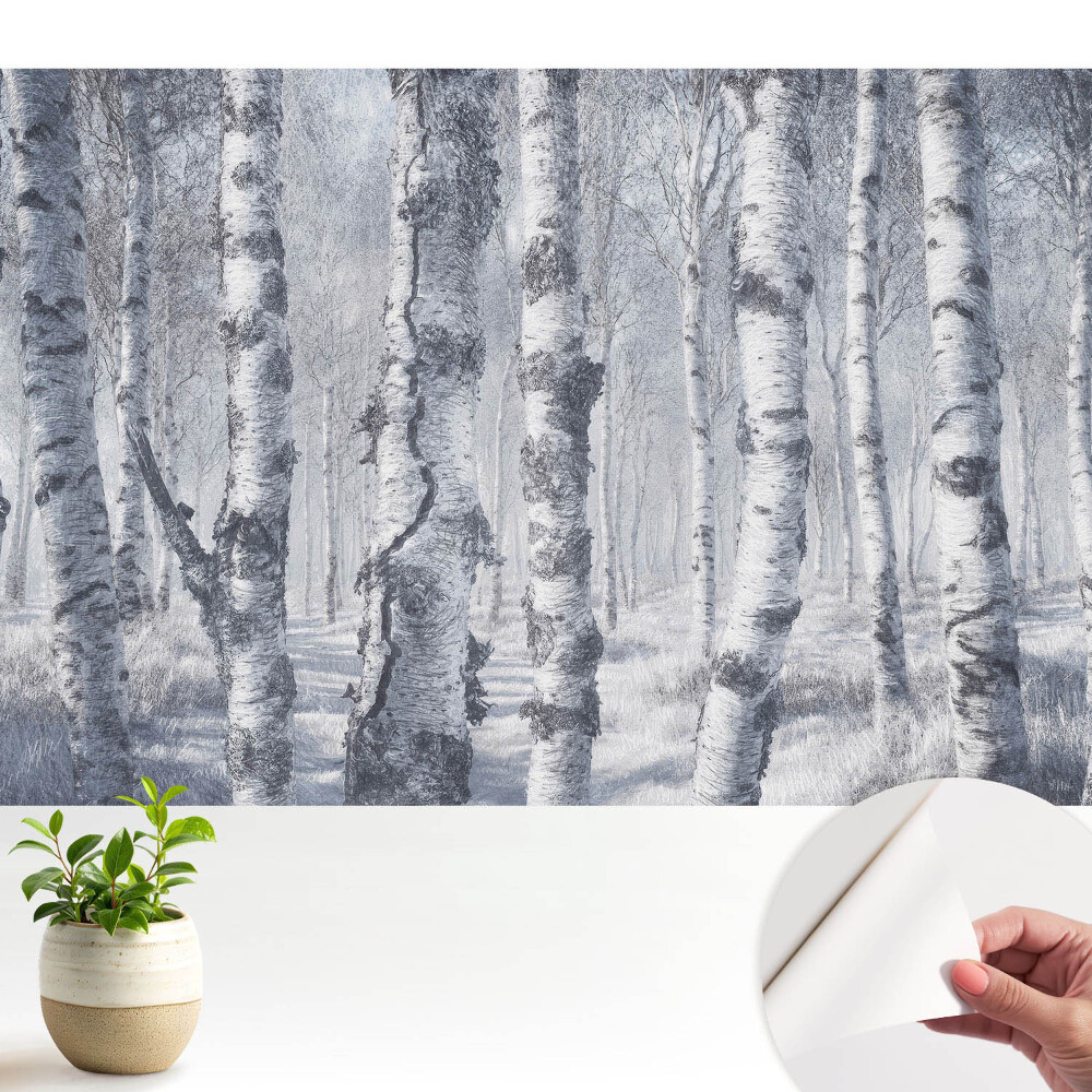 Pădure de mesteacăn de iarnă