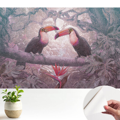 Tucani colorați în jungla tropicală