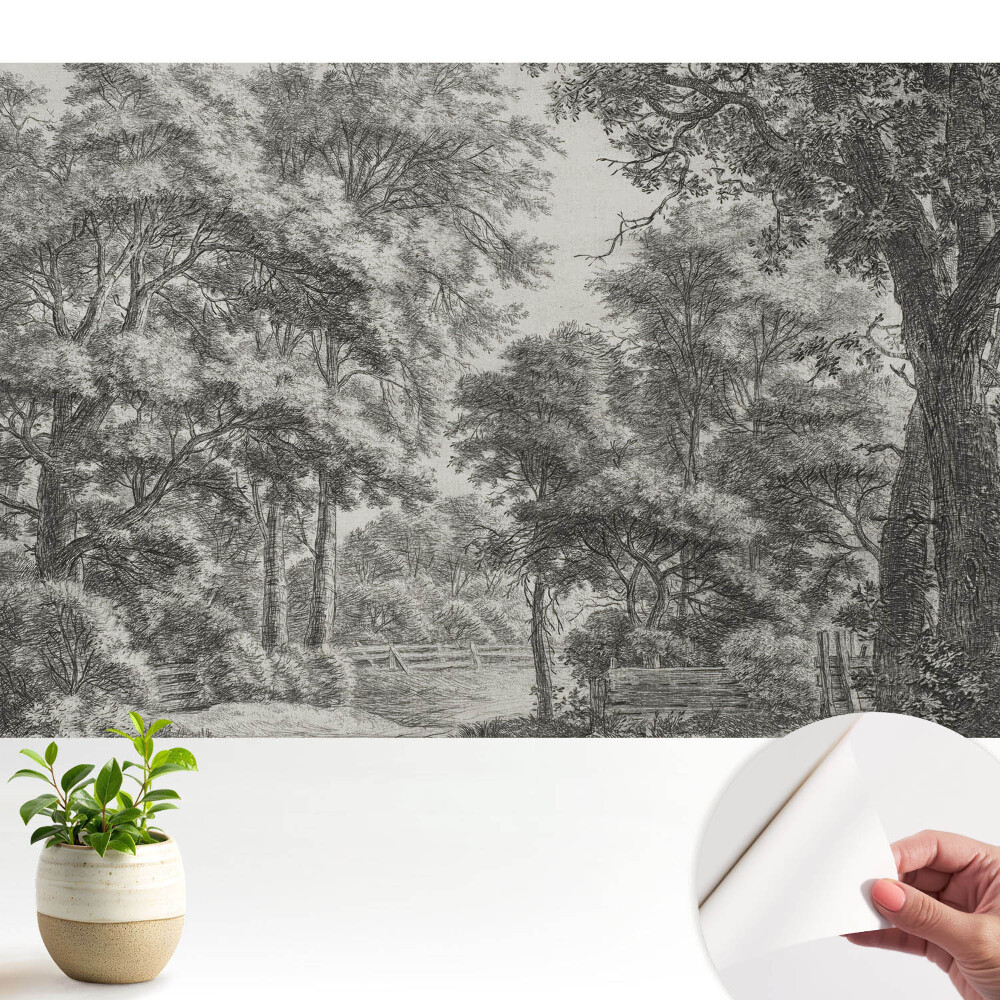 Peisaj forestier clasic, plin de armonie și pace