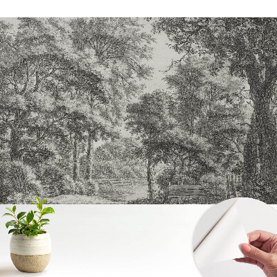 Peisaj forestier clasic, plin de armonie și pace