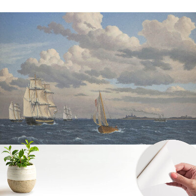 Nave cu pânze pe mare