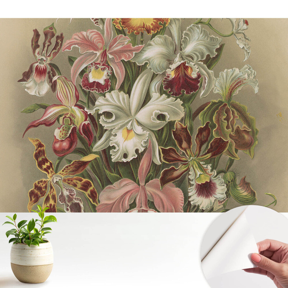 Flori exotice, armonia naturii