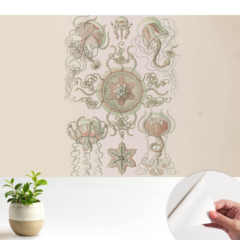 Motiv simetric delicat cu meduze