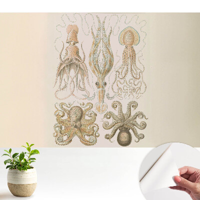 Armonia detaliilor cefalopodelor marine