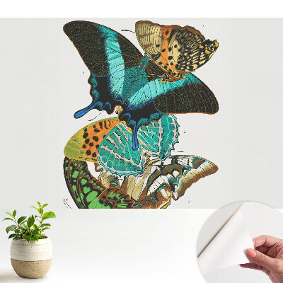 Fluturi colorați compoziție armonioasă clasică