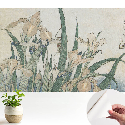 Irișii sunt un model clasic de armonie și eleganță