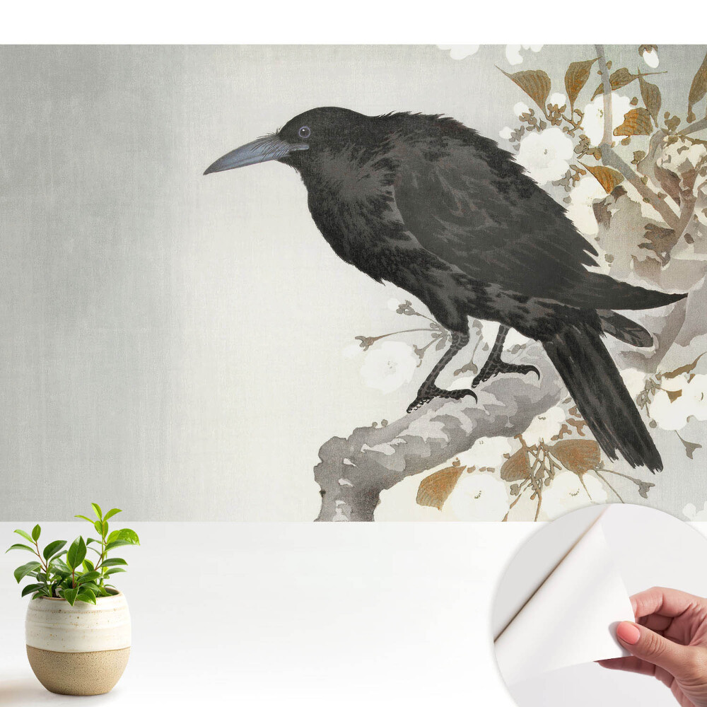 Un corb subtil pe fundalul ramurilor înflorite