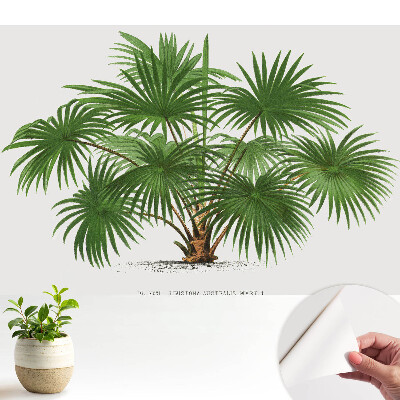 Compoziție simetrică cu palmier verde