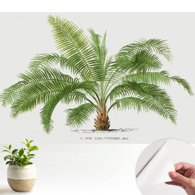 Ilustrație cu un palmier tropical