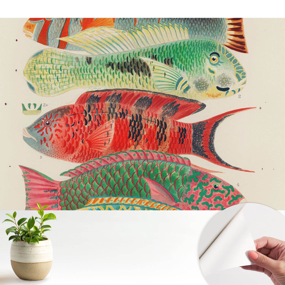 Pești colorați ilustrați într-un stil clasic