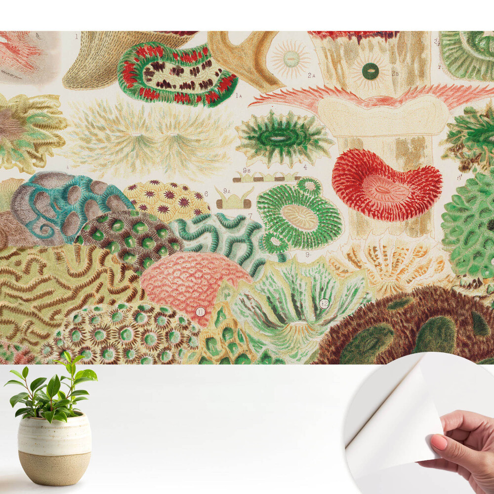 Motive și structuri organice abstracte