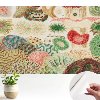 Motive și structuri organice abstracte