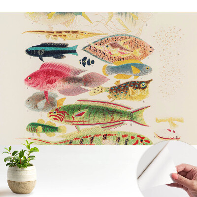 O varietate de pești într-un stil clasic