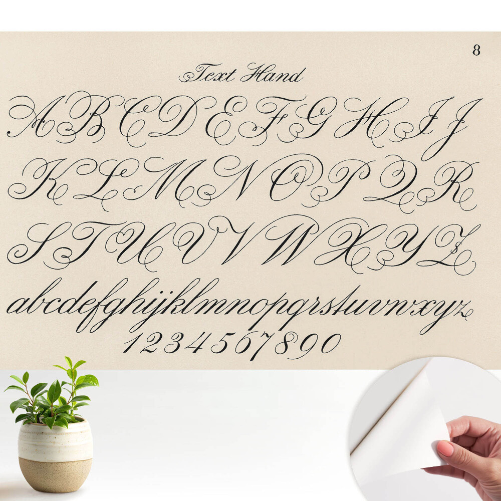 Alfabet caligrafic cu înflorituri elaborate