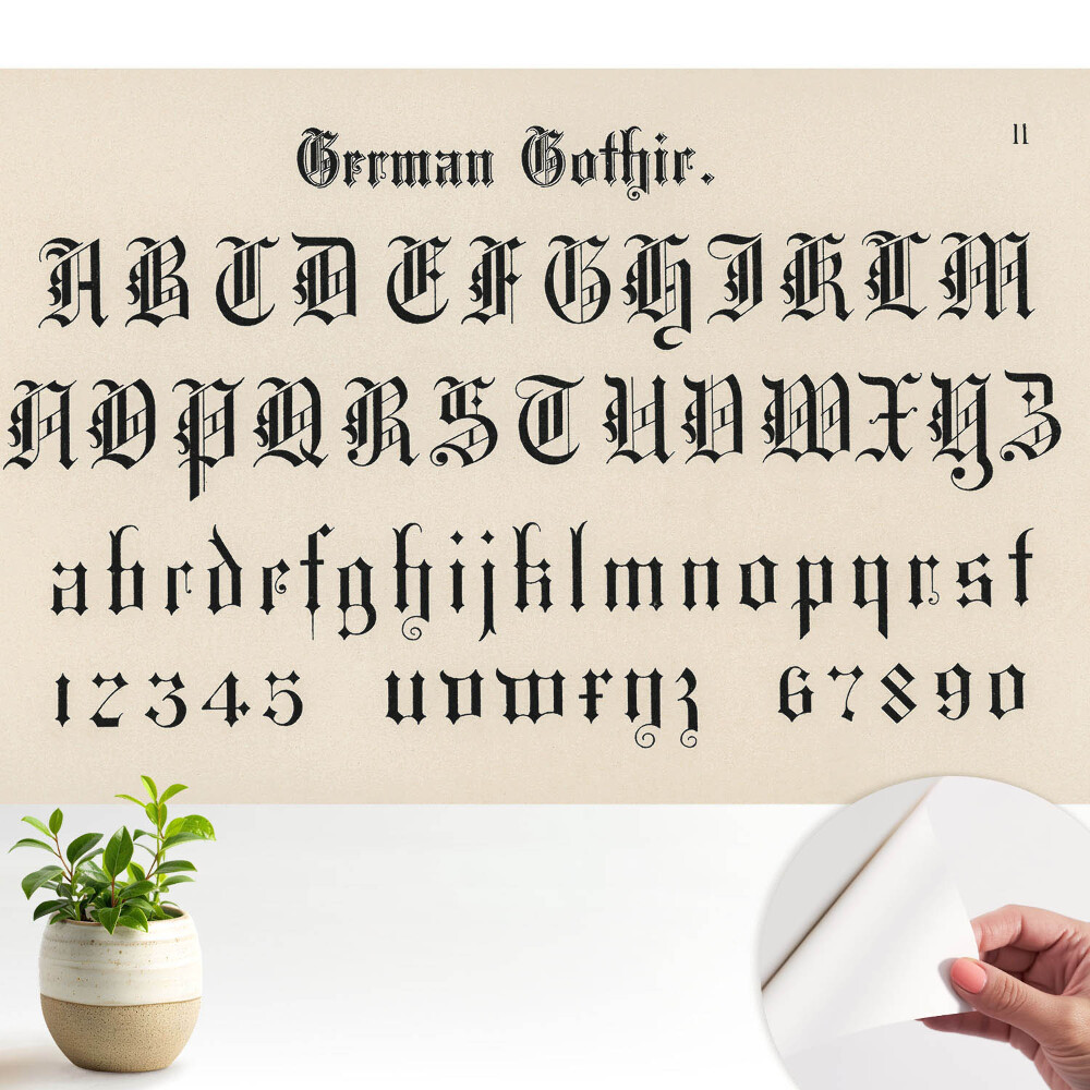 Alfabet gotic elegant și decorativ