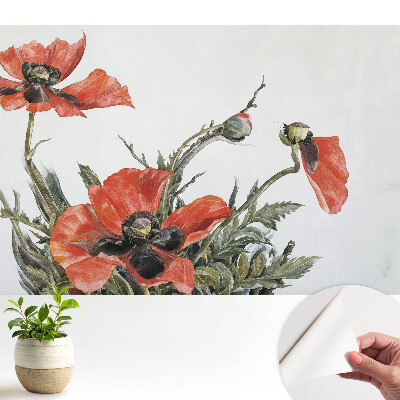 Maci delicați pe un fundal deschis