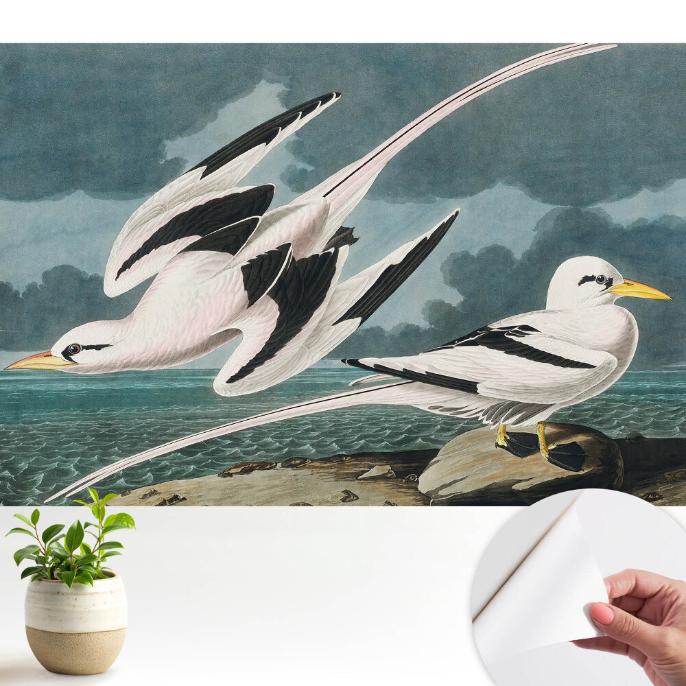 O pictură clasică cu păsări pe mal