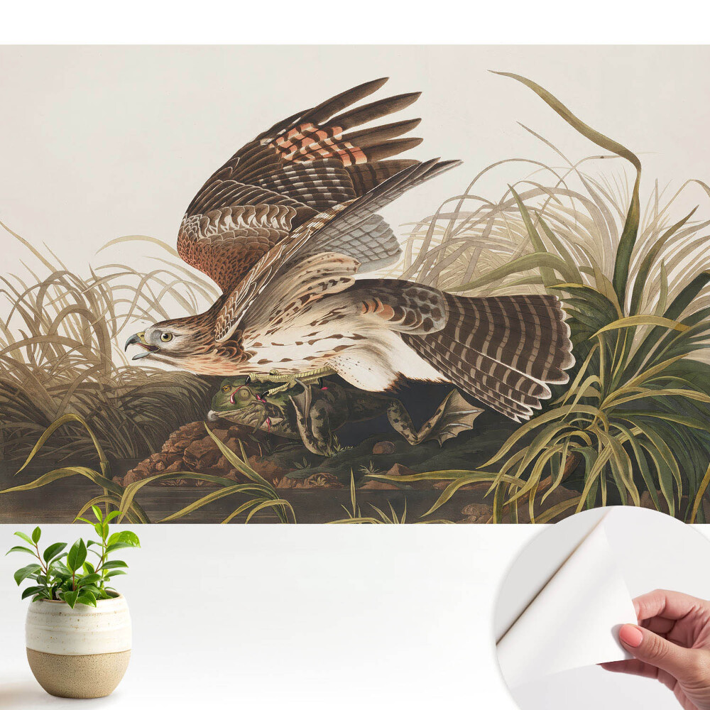 O pasăre în zbor printre iarbă