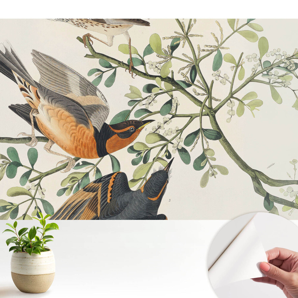 Păsări printre frunzele verzi