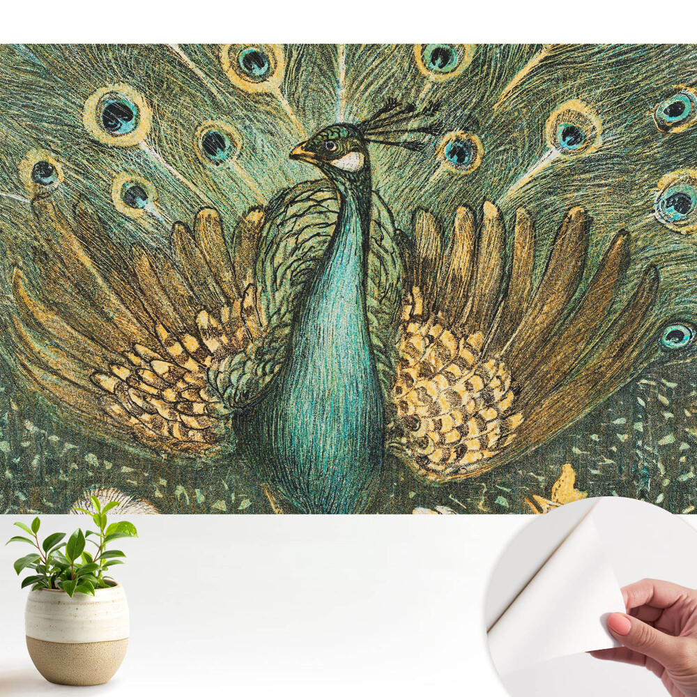 Clasic păun eleganță natură