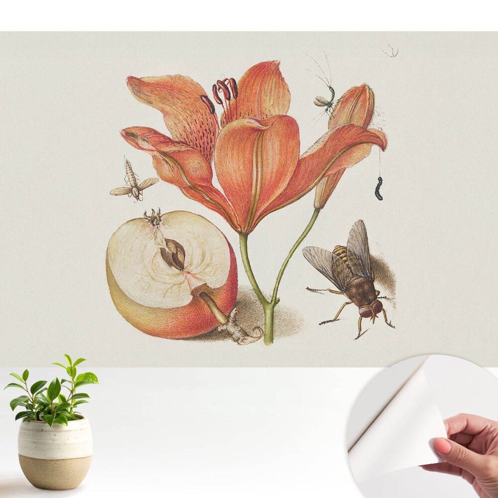 Flori, insecte, fructe, armonia naturii