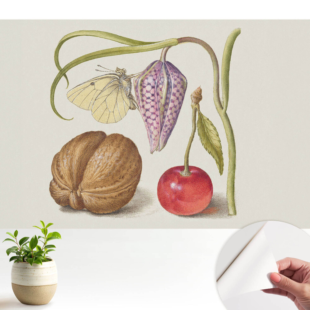 Fluture pe frunză de floare și fructe