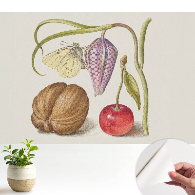 Fluture pe frunză cu floare și fructe