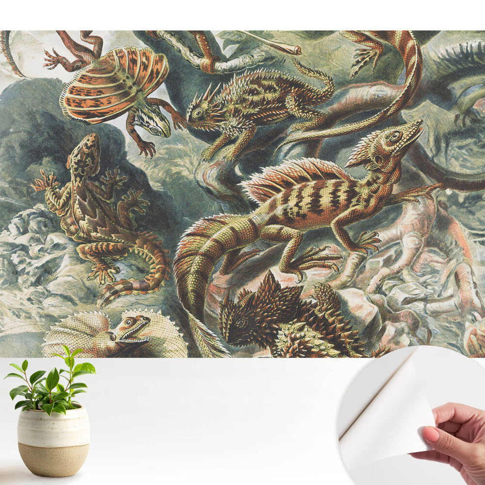 Șopârle fabuloase cu model natural