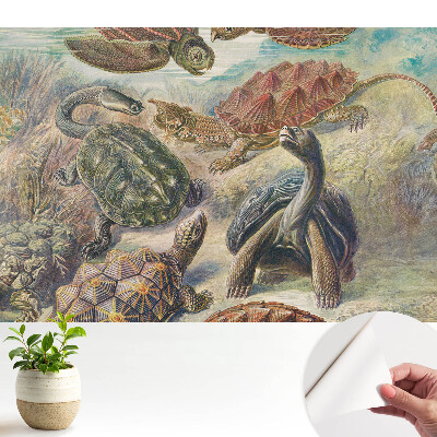 Diverse țestoase în peisaje acvatice