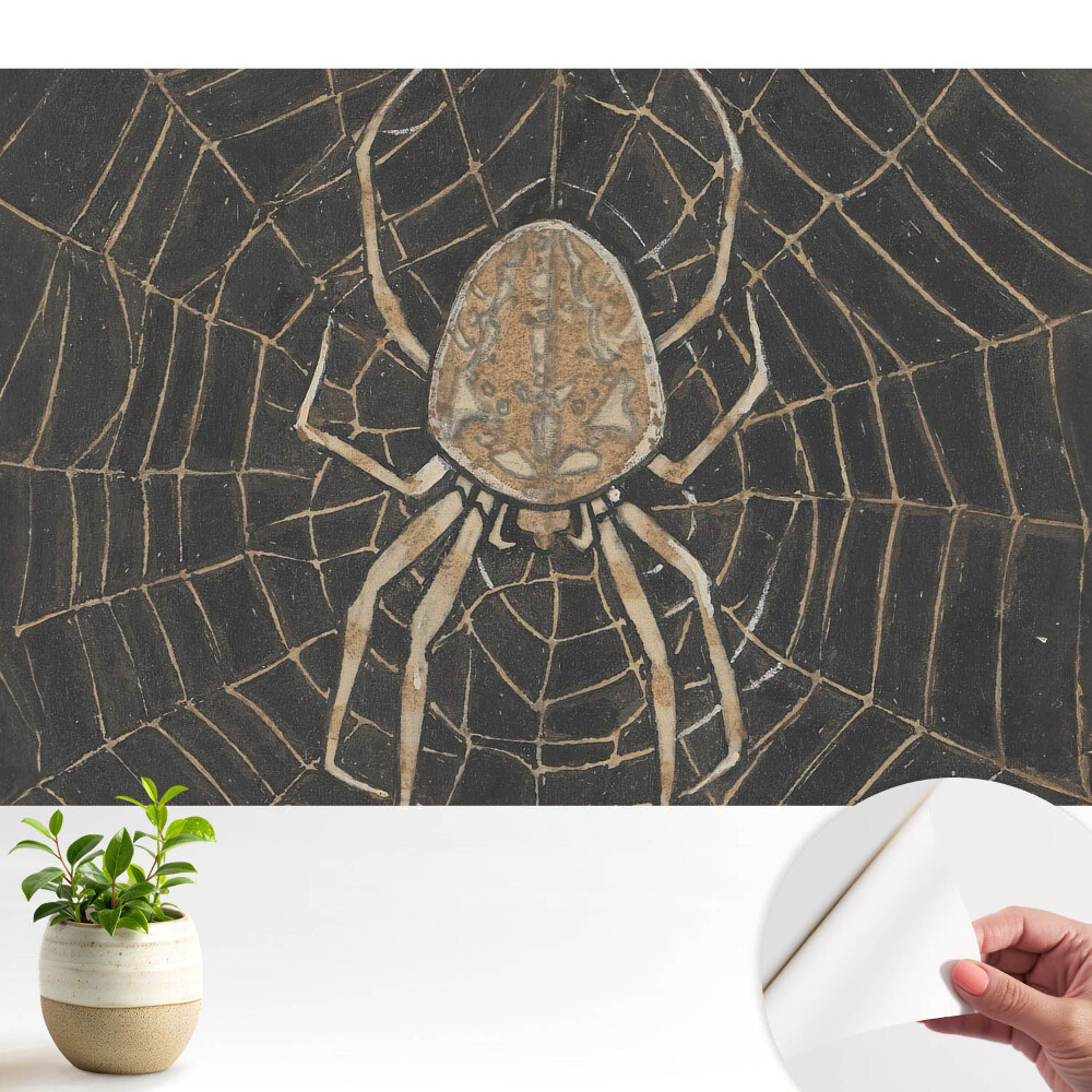 Păianjen în pânză simetric clasic