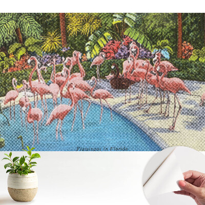 Flamingo lângă piscină