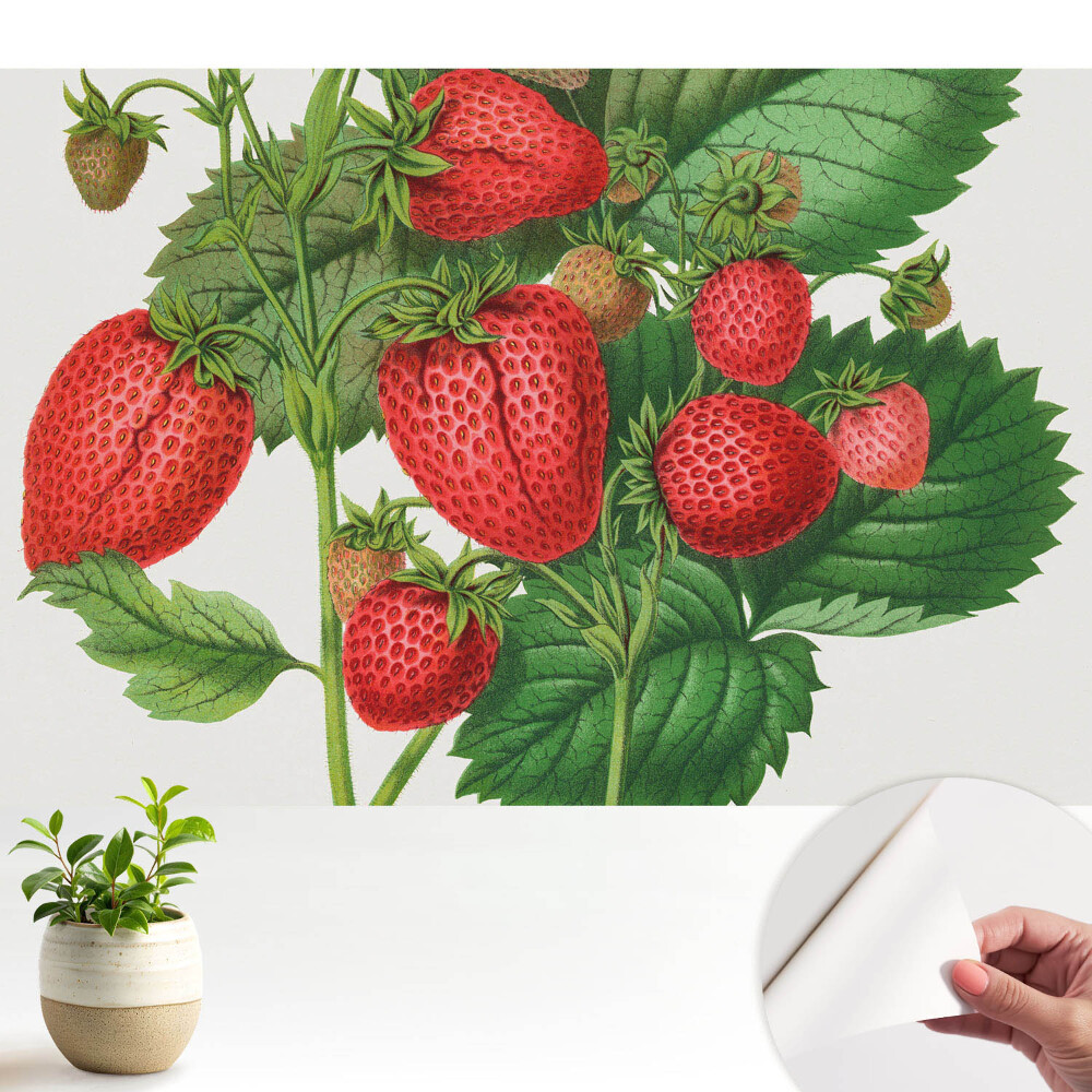 Căpșuni pe un fundal verde