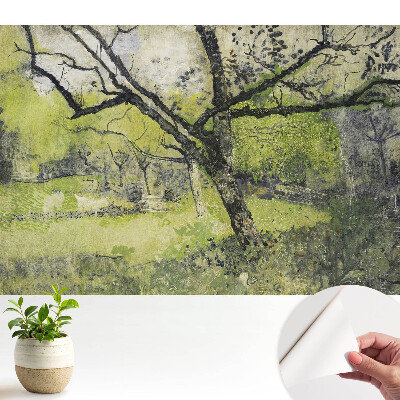 Spațiu verde în parc cu copaci