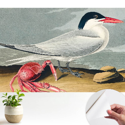 Pasăre și crab, un duet clasic al naturii