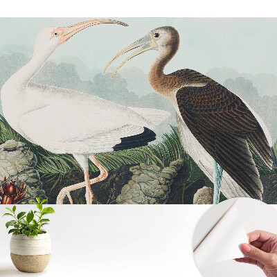 Două păsări în mediul lor natural