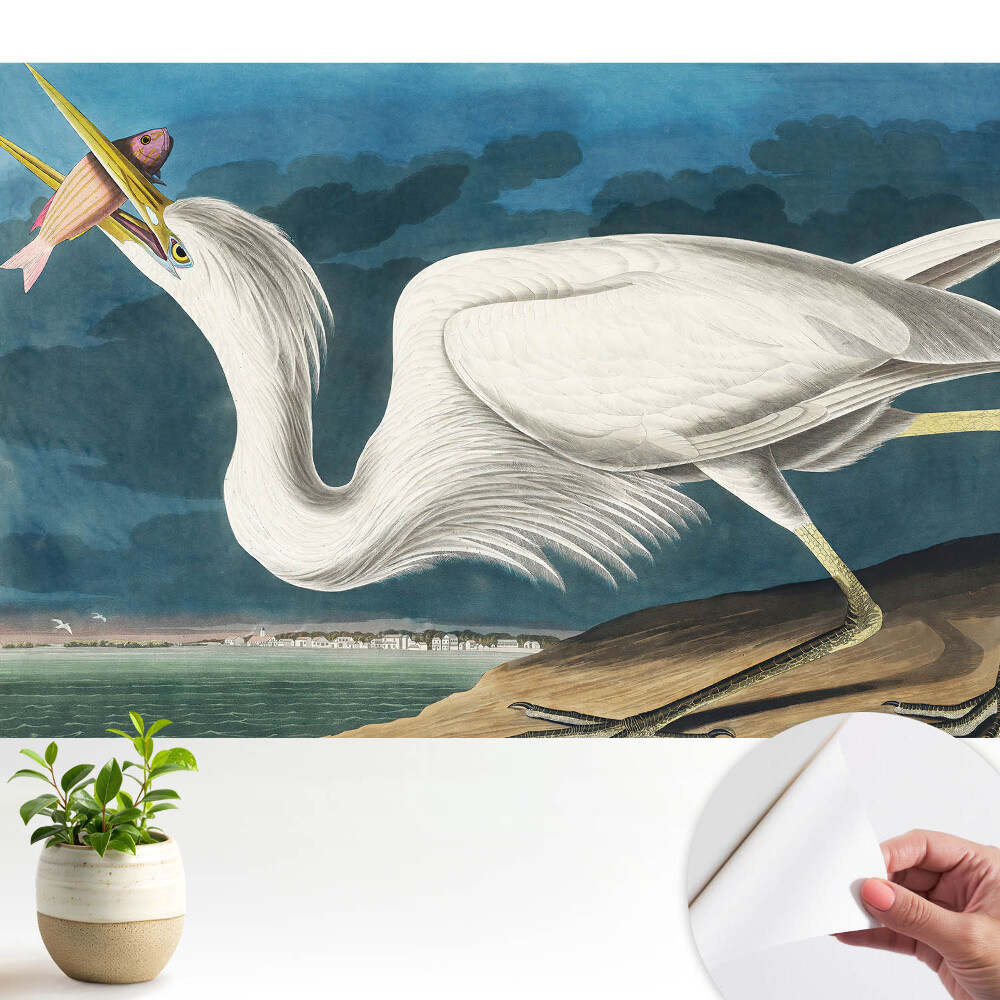 Eleganța păsărilor și natura