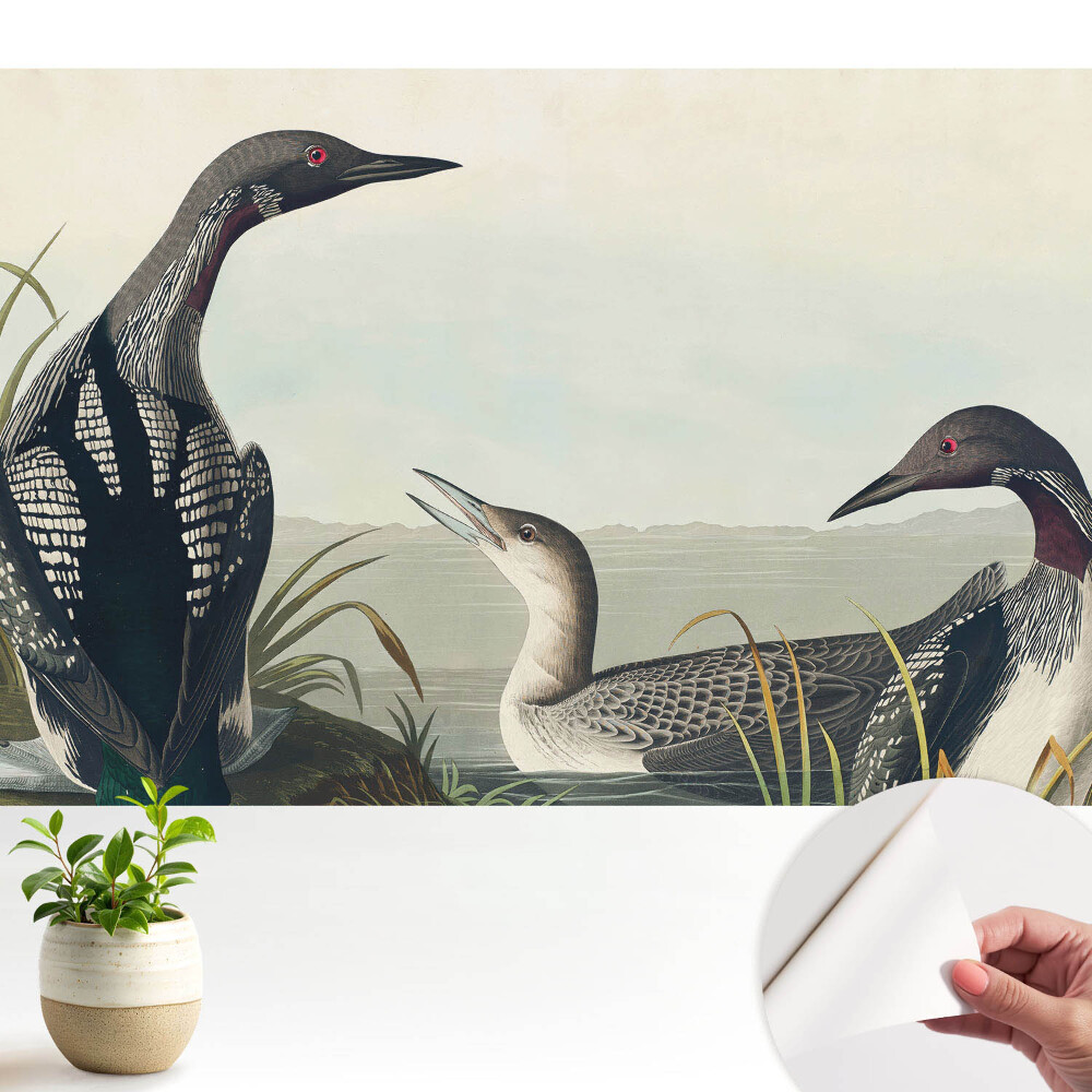 Trei păsări în stil clasic.