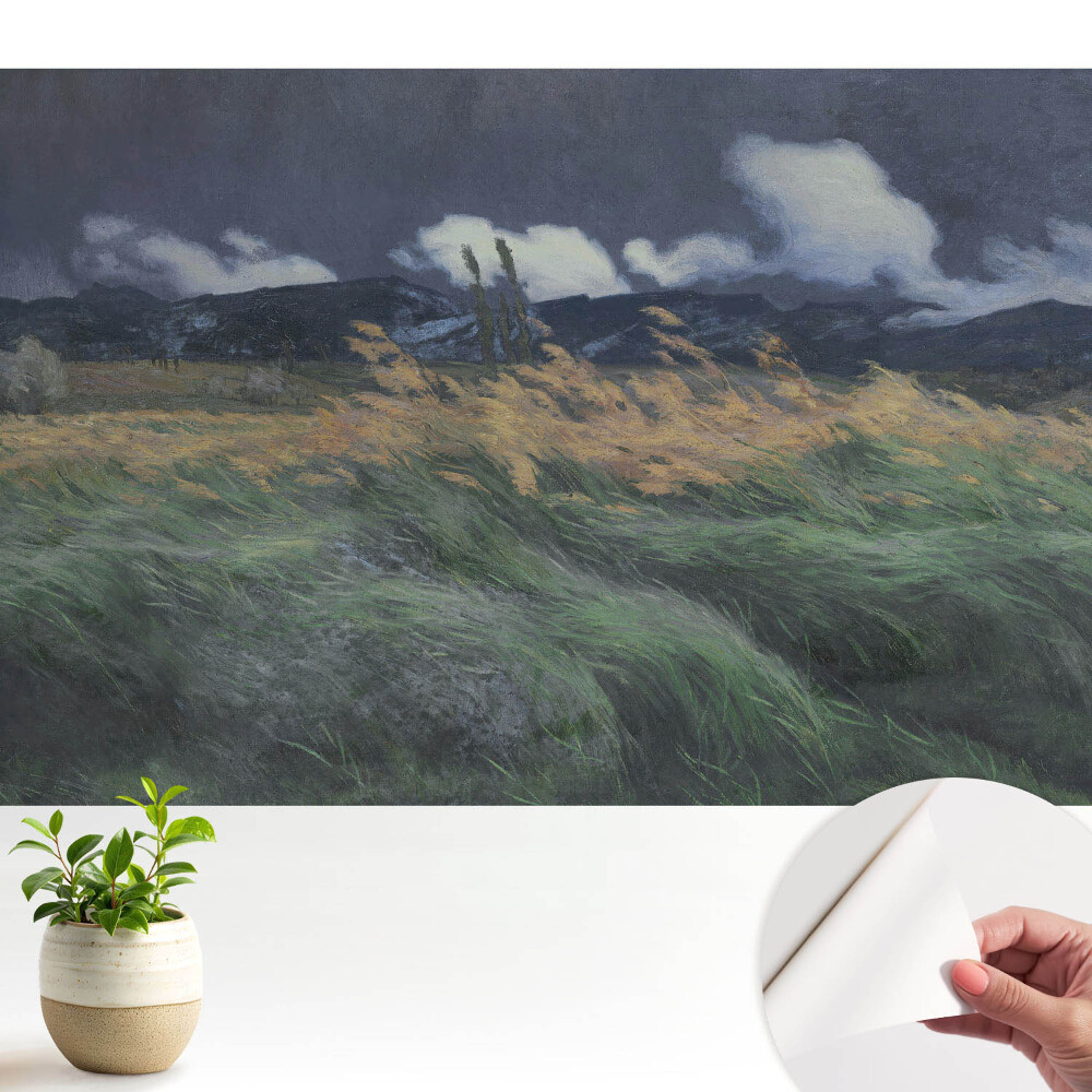 Peisaj cu nori și vânt