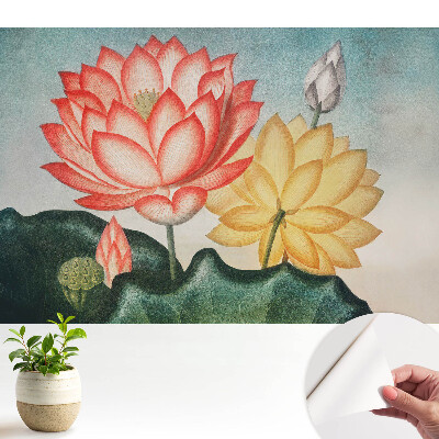 Flori de lotus în stil romantic