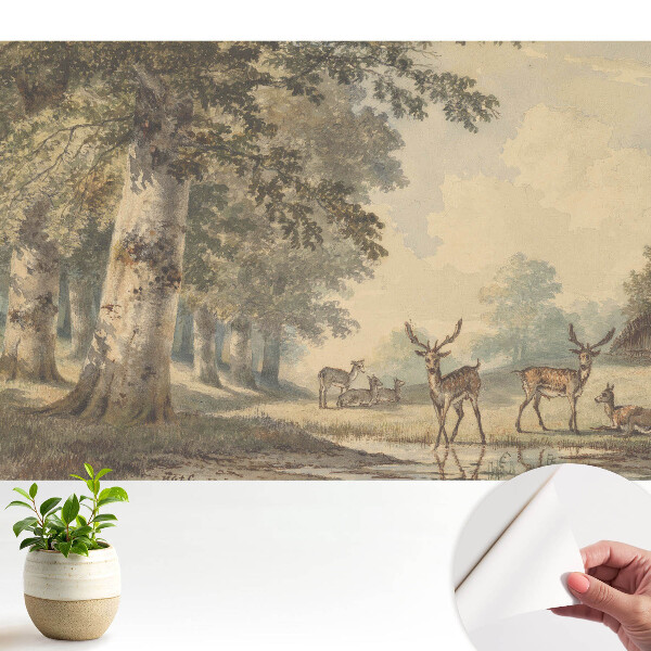 Cerb de pădure lângă pârâu