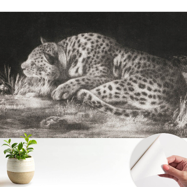 Un leopard care se odihnește în iarbă