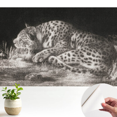 Un leopard care se odihnește în iarbă